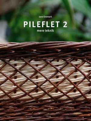 cover image of Pileflet 2